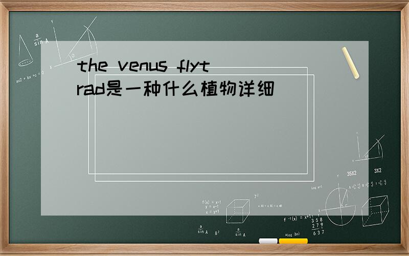 the venus flytrad是一种什么植物详细