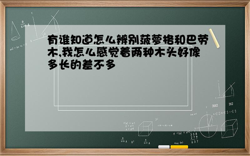 有谁知道怎么辨别菠萝格和巴劳木,我怎么感觉着两种木头好像多长的差不多