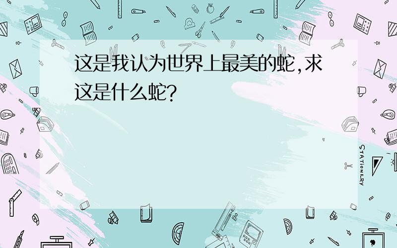 这是我认为世界上最美的蛇,求这是什么蛇?