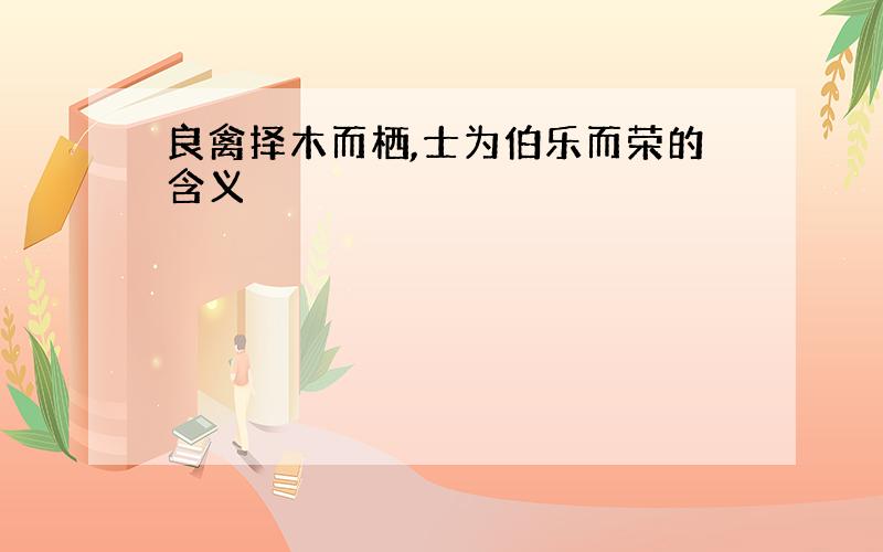 良禽择木而栖,士为伯乐而荣的含义