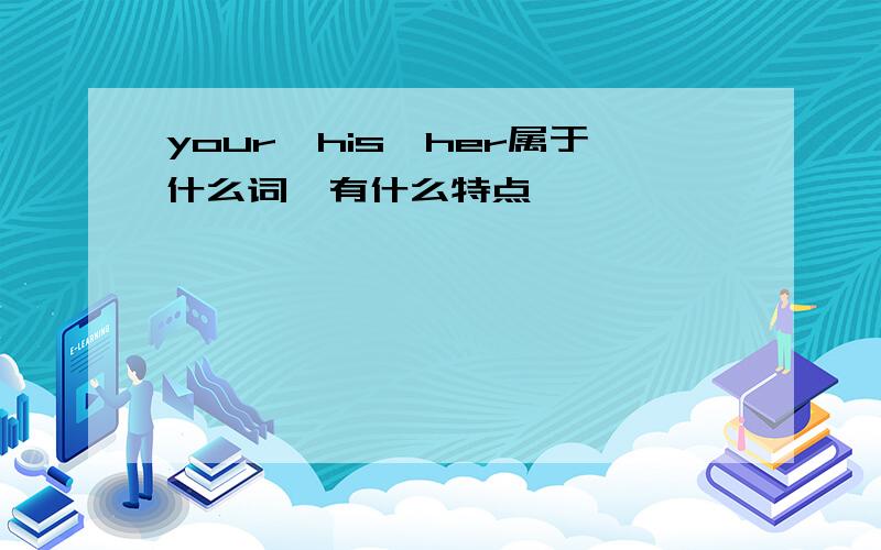 your,his,her属于什么词,有什么特点