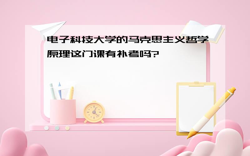 电子科技大学的马克思主义哲学原理这门课有补考吗?