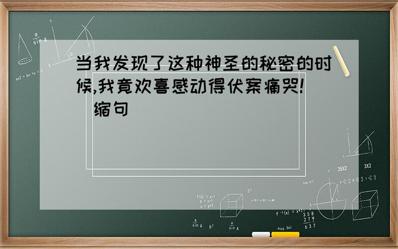 当我发现了这种神圣的秘密的时候,我竟欢喜感动得伏案痛哭!（缩句）