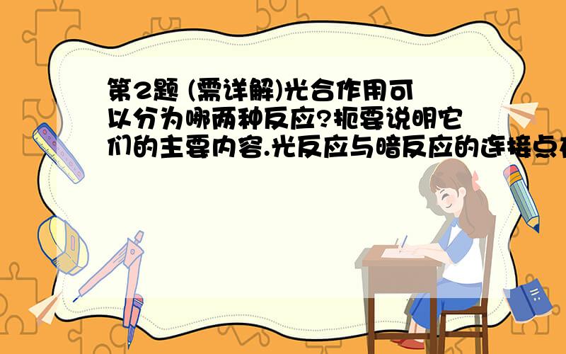 第2题 (需详解)光合作用可以分为哪两种反应?扼要说明它们的主要内容.光反应与暗反应的连接点在哪一步骤?