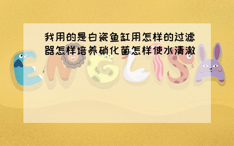 我用的是白瓷鱼缸用怎样的过滤器怎样培养硝化菌怎样使水清澈