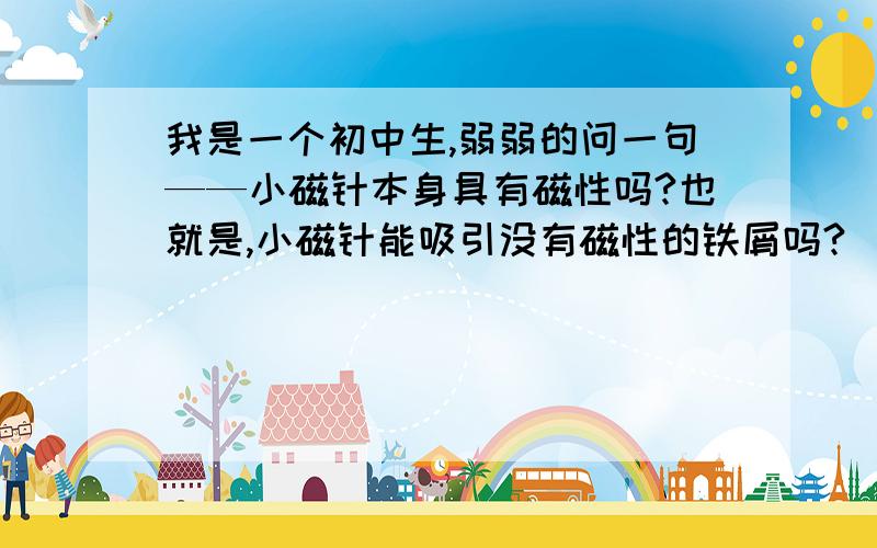 我是一个初中生,弱弱的问一句——小磁针本身具有磁性吗?也就是,小磁针能吸引没有磁性的铁屑吗?