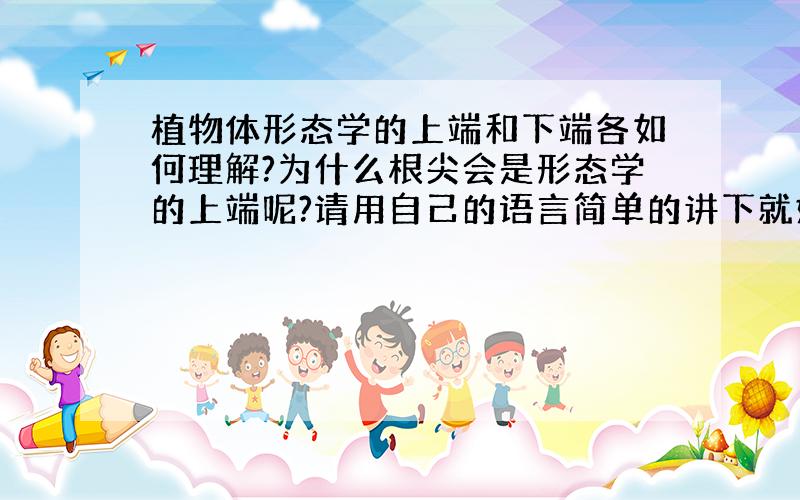 植物体形态学的上端和下端各如何理解?为什么根尖会是形态学的上端呢?请用自己的语言简单的讲下就好