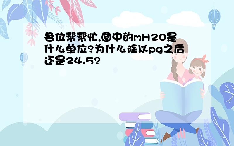 各位帮帮忙,图中的mH2O是什么单位?为什么除以pg之后还是24.5?