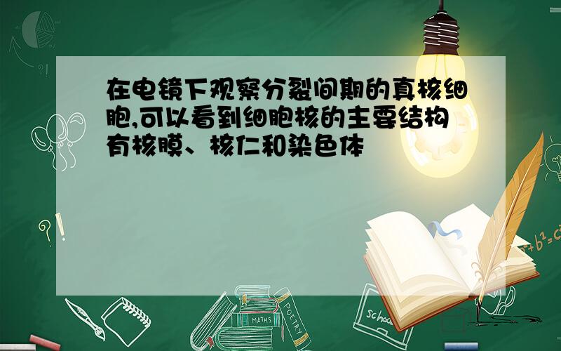 在电镜下观察分裂间期的真核细胞,可以看到细胞核的主要结构有核膜、核仁和染色体