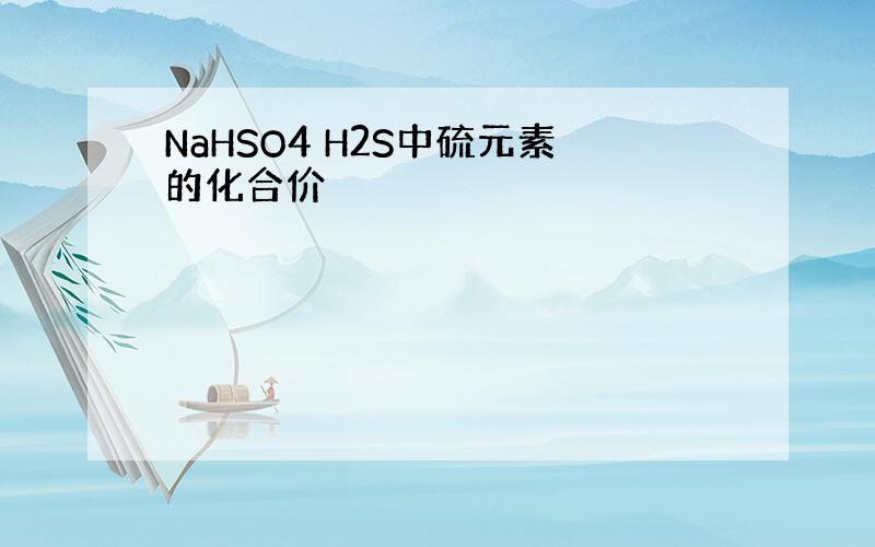 NaHSO4 H2S中硫元素的化合价