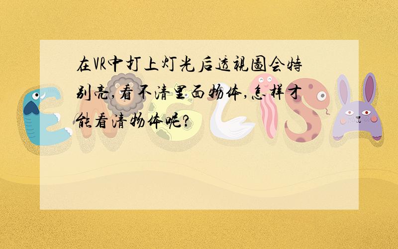 在VR中打上灯光后透视图会特别亮,看不清里面物体,怎样才能看清物体呢?