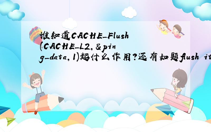 谁知道CACHE_Flush(CACHE_L2,&ping_data,1)起什么作用?还有如题flush it out