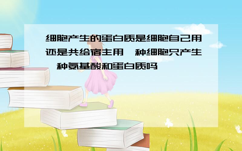 细胞产生的蛋白质是细胞自己用还是共给宿主用一种细胞只产生一种氨基酸和蛋白质吗