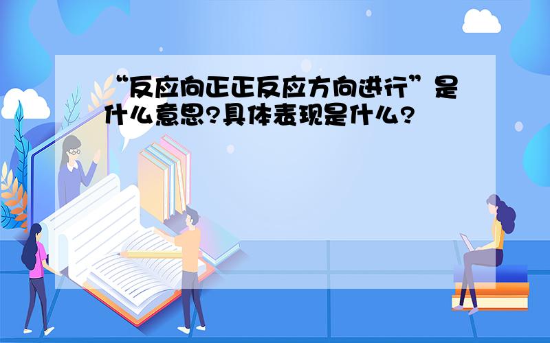 “反应向正正反应方向进行”是什么意思?具体表现是什么?