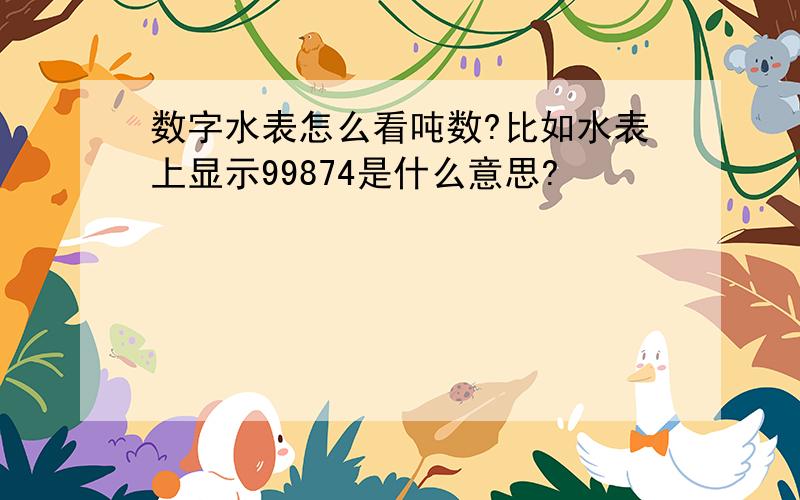 数字水表怎么看吨数?比如水表上显示99874是什么意思?