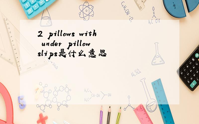 2 pillows with under pillow slips是什么意思