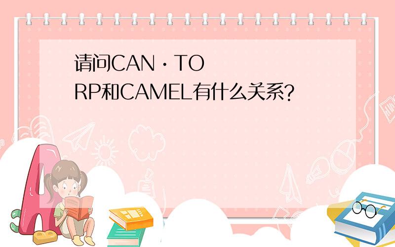 请问CAN•TORP和CAMEL有什么关系?