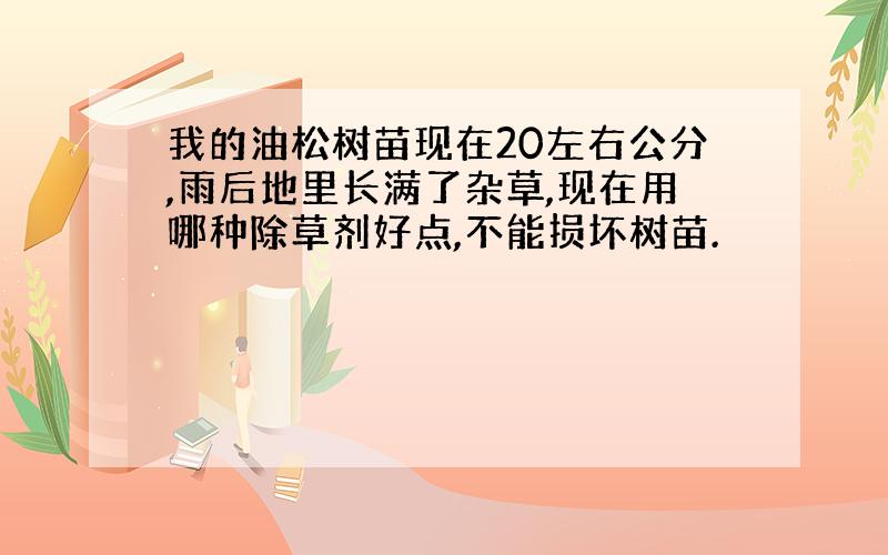 我的油松树苗现在20左右公分,雨后地里长满了杂草,现在用哪种除草剂好点,不能损坏树苗.