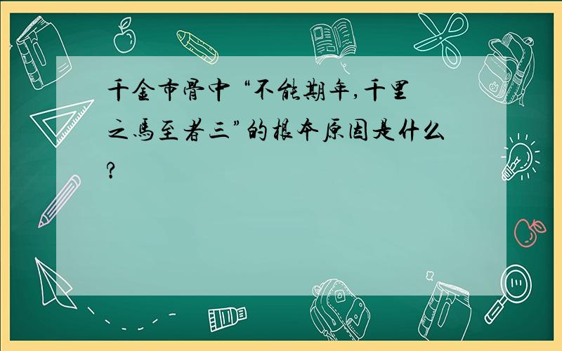 千金市骨中 “不能期年,千里之马至者三”的根本原因是什么?