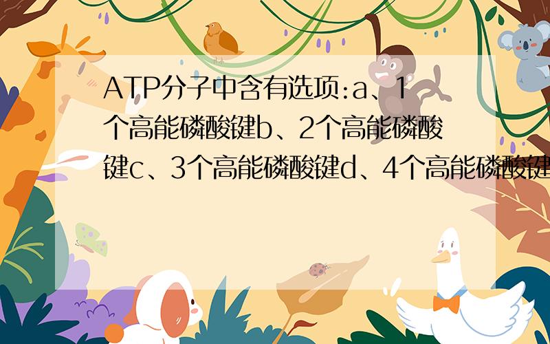 ATP分子中含有选项:a、1个高能磷酸键b、2个高能磷酸键c、3个高能磷酸键d、4个高能磷酸键e、无高能磷酸键