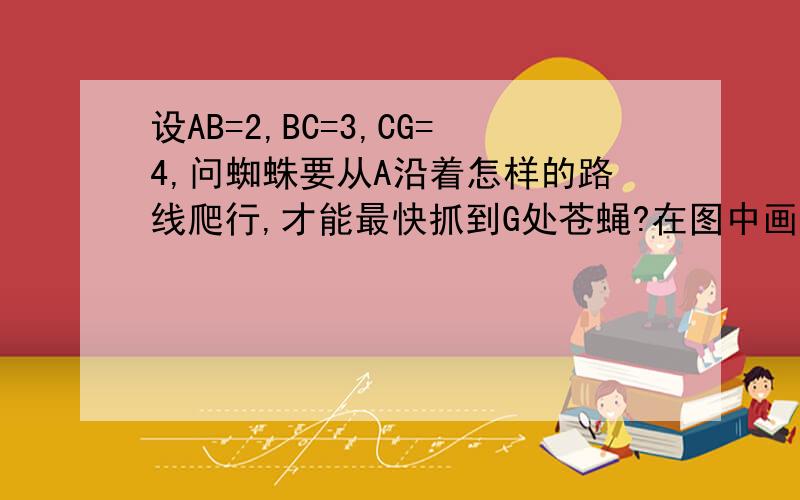 设AB=2,BC=3,CG=4,问蜘蛛要从A沿着怎样的路线爬行,才能最快抓到G处苍蝇?在图中画