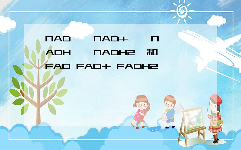 NAD 、 NAD+ 、 NADH 、 NADH2、和 FAD FAD+ FADH2