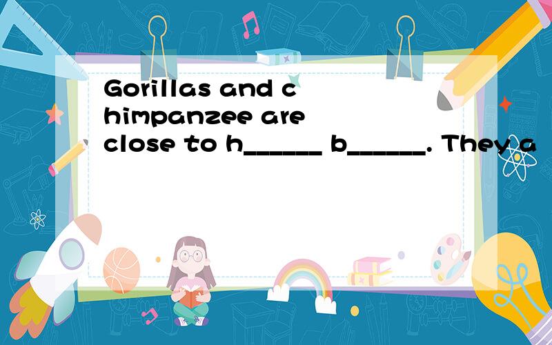 Gorillas and chimpanzee are close to h______ b______. They a