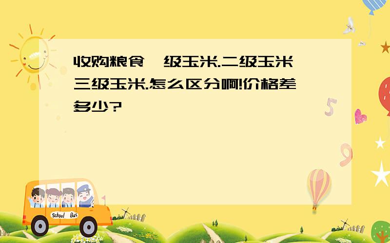 收购粮食一级玉米.二级玉米,三级玉米.怎么区分啊!价格差多少?