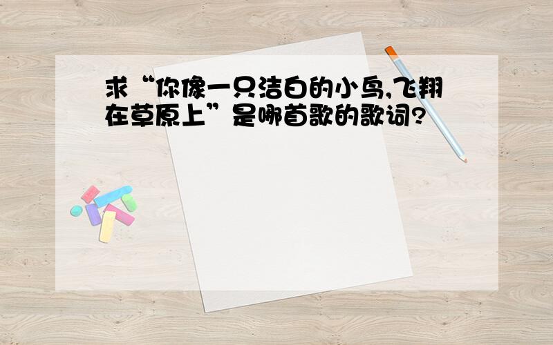 求“你像一只洁白的小鸟,飞翔在草原上”是哪首歌的歌词?