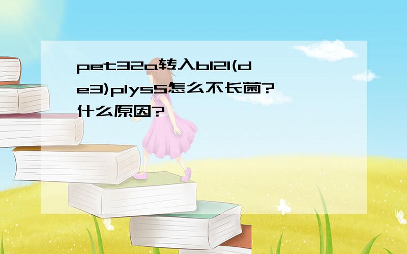 pet32a转入bl21(de3)plysS怎么不长菌?什么原因?