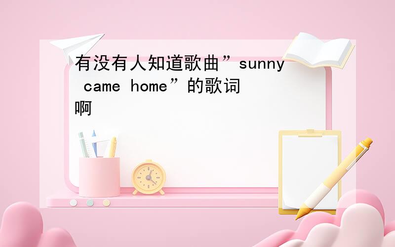 有没有人知道歌曲”sunny came home”的歌词啊