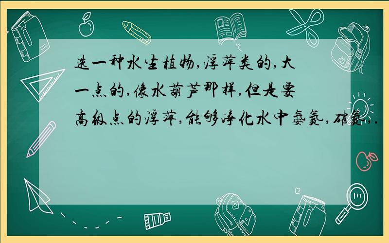 选一种水生植物,浮萍类的,大一点的,像水葫芦那样,但是要高级点的浮萍,能够净化水中氨氮,硝氮,.