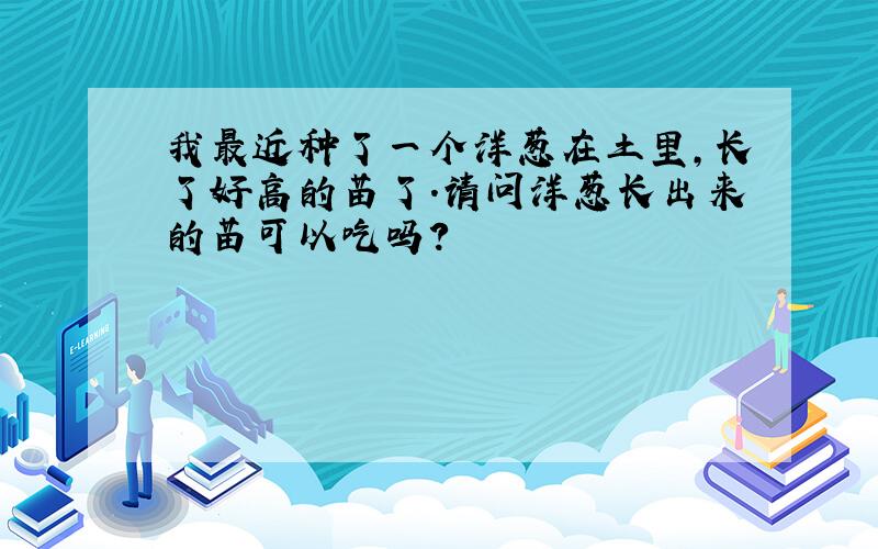 我最近种了一个洋葱在土里,长了好高的苗了.请问洋葱长出来的苗可以吃吗?