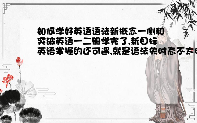 如何学好英语语法新概念一侧和突破英语一二册学完了,新目标英语掌握的还可遇,就是语法失时态不太明白,表语啊,半系动词啊,根