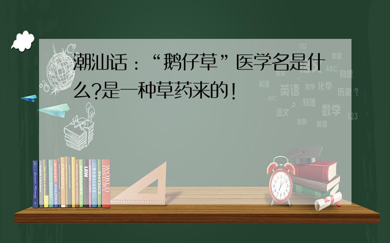 潮汕话：“鹅仔草”医学名是什么?是一种草药来的!