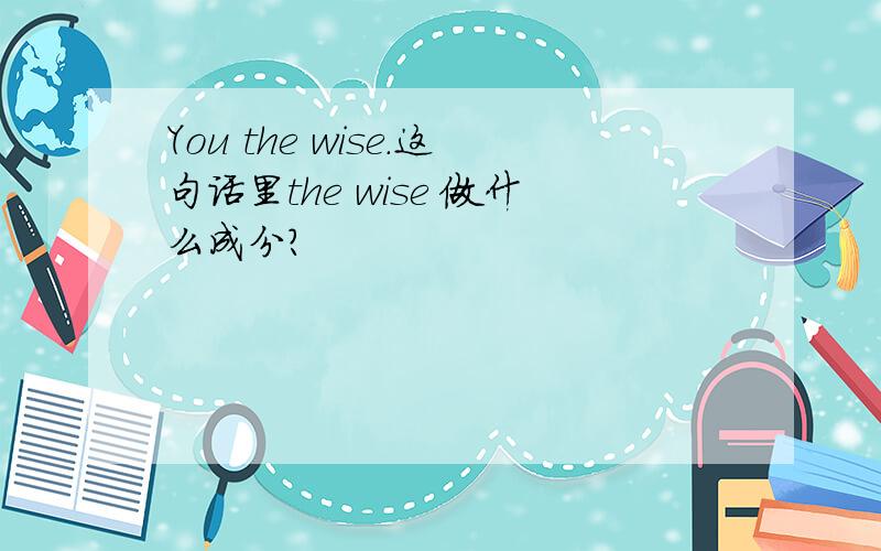 You the wise.这句话里the wise 做什么成分?