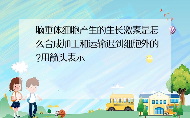 脑垂体细胞产生的生长激素是怎么合成加工和运输迟到细胞外的?用箭头表示