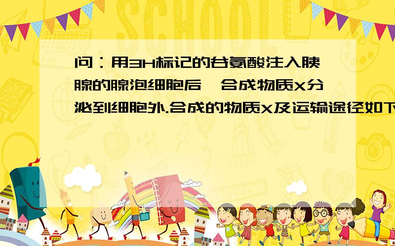 问：用3H标记的谷氨酸注入胰腺的腺泡细胞后,合成物质X分泌到细胞外.合成的物质X及运输途径如下图.