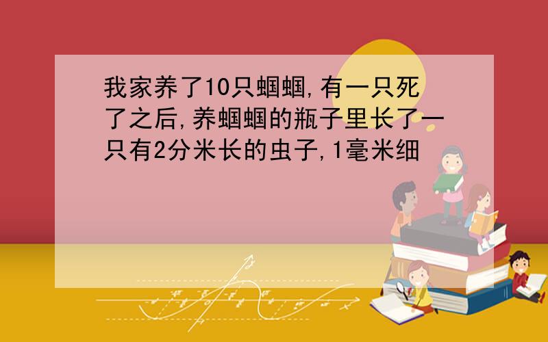 我家养了10只蝈蝈,有一只死了之后,养蝈蝈的瓶子里长了一只有2分米长的虫子,1毫米细