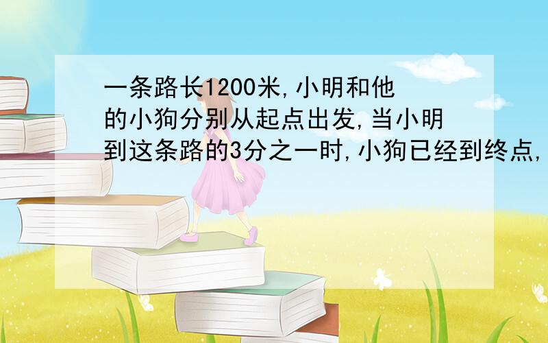 一条路长1200米,小明和他的小狗分别从起点出发,当小明到这条路的3分之一时,小狗已经到终点,然后小狗立即