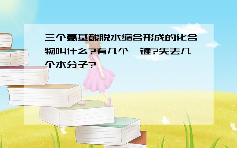 三个氨基酸脱水缩合形成的化合物叫什么?有几个肽键?失去几个水分子?