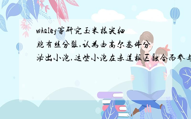 whaley等研究玉米根尖细胞有丝分裂,认为由高尔基体分泌出小泡,这些小泡在赤道板区融合而参与细胞壁的形