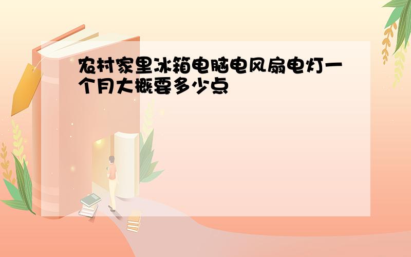 农村家里冰箱电脑电风扇电灯一个月大概要多少点