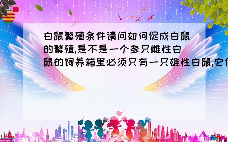 白鼠繁殖条件请问如何促成白鼠的繁殖,是不是一个多只雌性白鼠的饲养箱里必须只有一只雄性白鼠,它们才能繁殖?