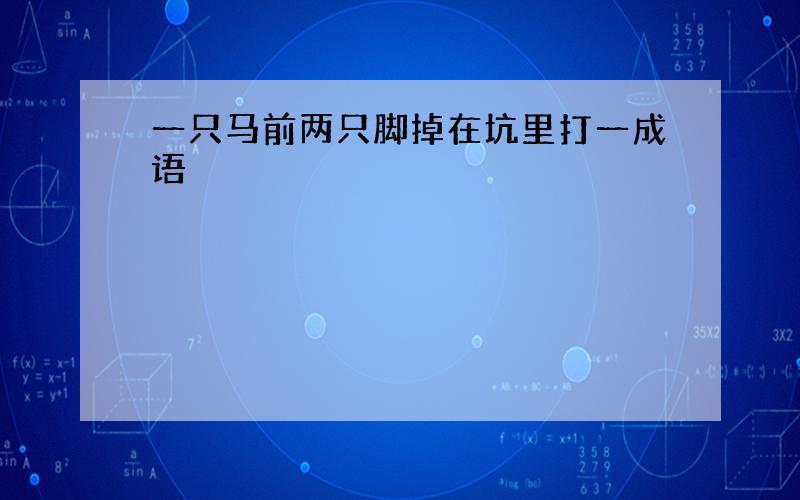 一只马前两只脚掉在坑里打一成语