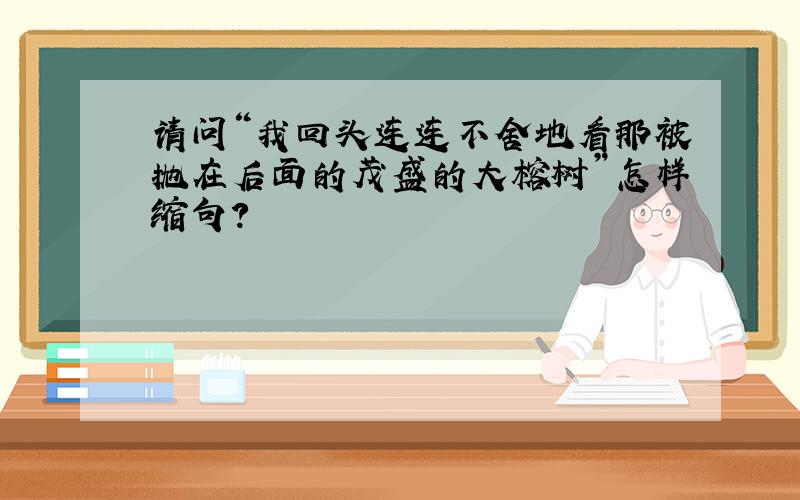 请问“我回头连连不舍地看那被抛在后面的茂盛的大榕树”怎样缩句?