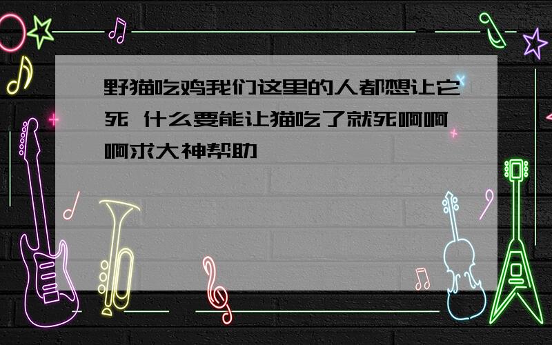 野猫吃鸡我们这里的人都想让它死 什么要能让猫吃了就死啊啊啊求大神帮助