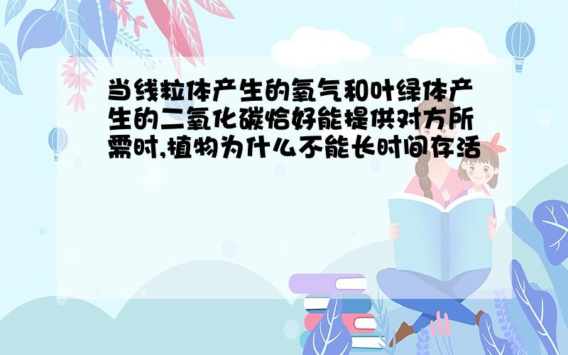 当线粒体产生的氧气和叶绿体产生的二氧化碳恰好能提供对方所需时,植物为什么不能长时间存活