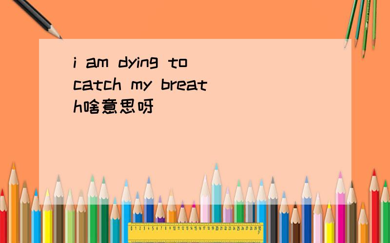 i am dying to catch my breath啥意思呀