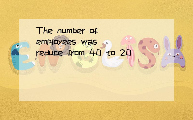 The number of employees was reduce from 40 to 20